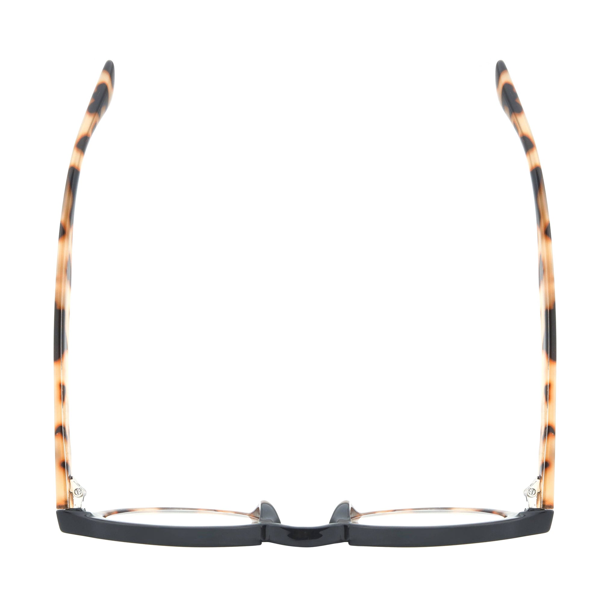 DAN | Black Tortoise  | Blue Light Readers