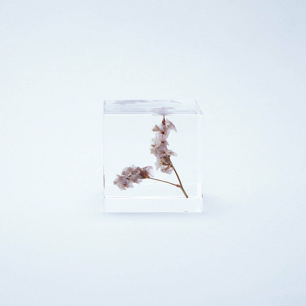 Sea Lavender Cube