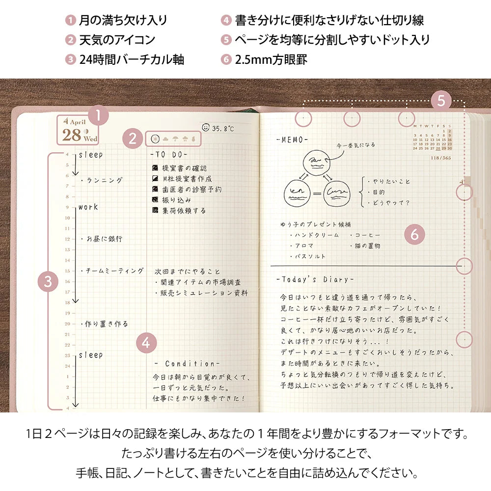 2027 DIARY HIBINO A6 PINK