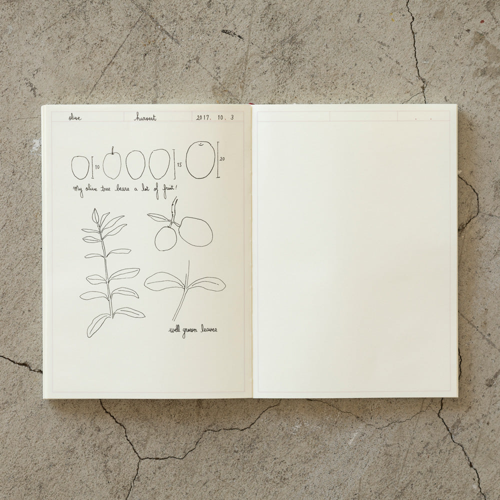 MD A5 Notebook Journal - Frame