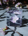 Sakura Cube - Komatsu-otome