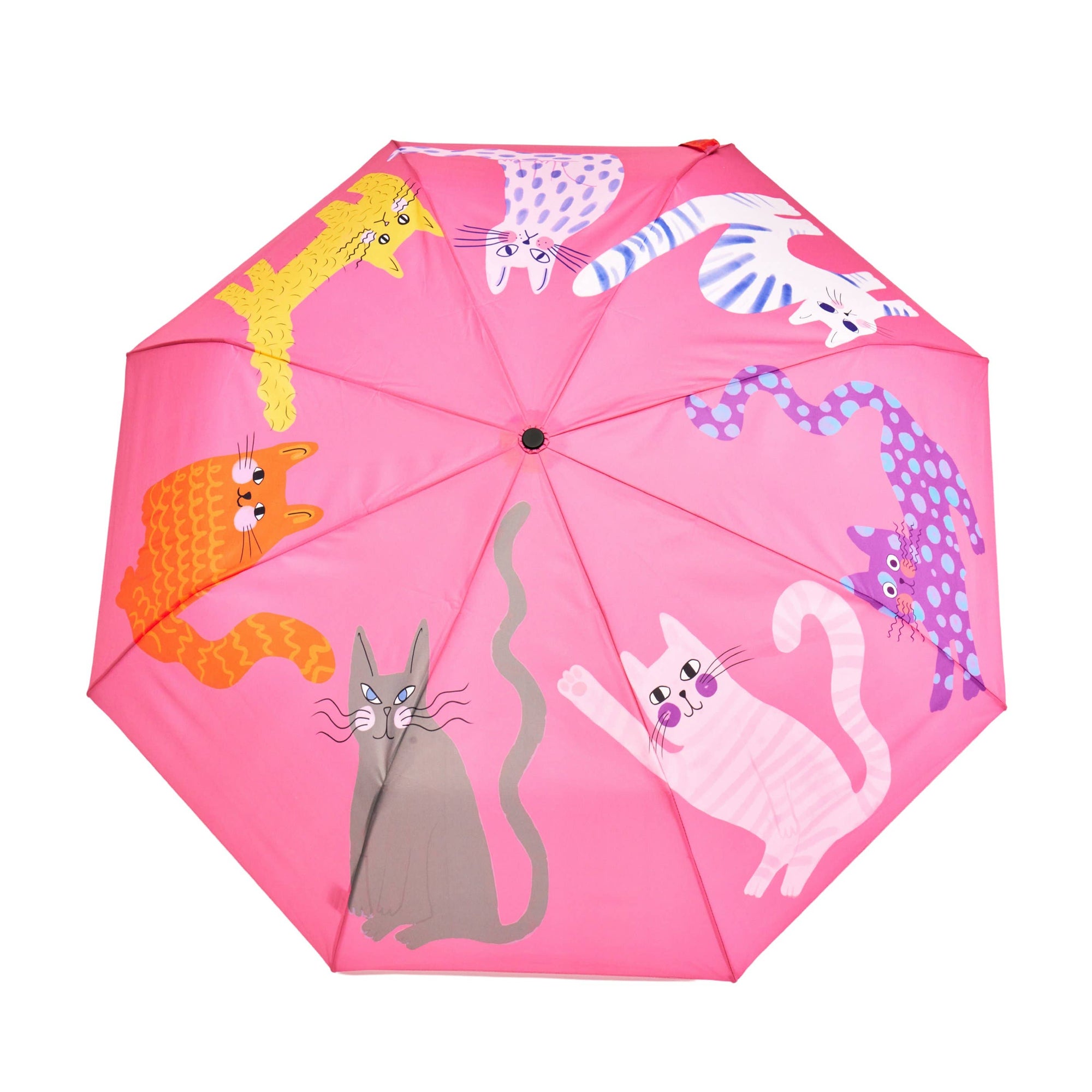 Duck Umbrella : Ice Arty Cats