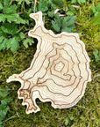 Mt Baker Topography Coaster - Single