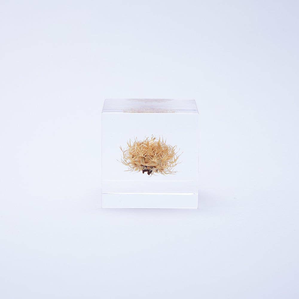 Basket Flower Cube