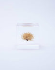 Basket Flower Cube