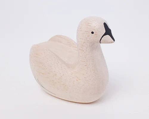 Swan