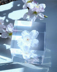 Sakura Cube - Someiyoshinno