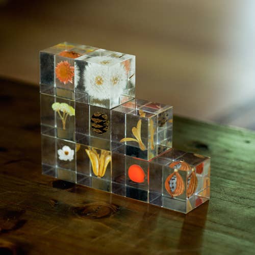 Yellow Fennel Flower Cube