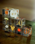 Yellow Fennel Flower Cube