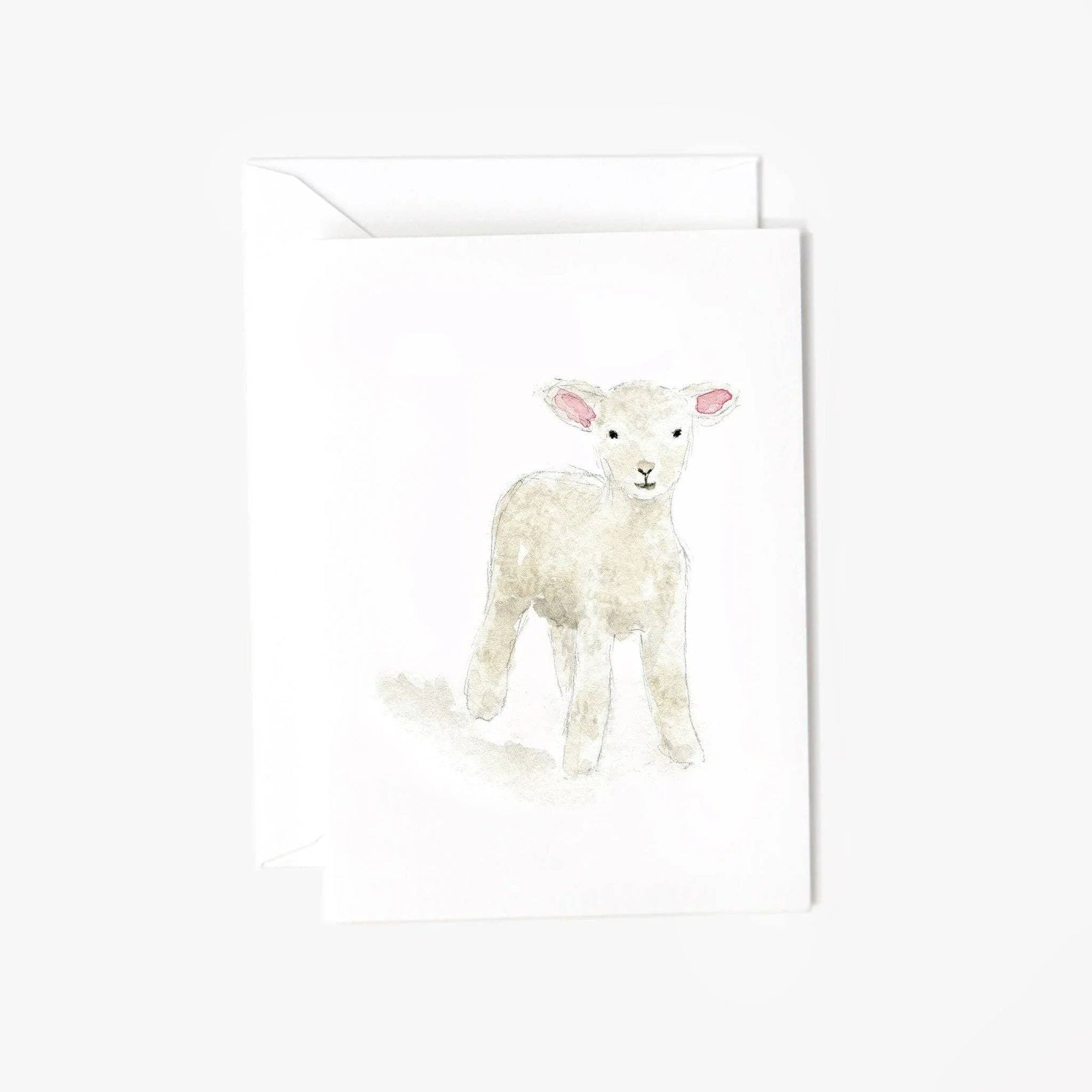 Baby lamb mini enclosure notecard