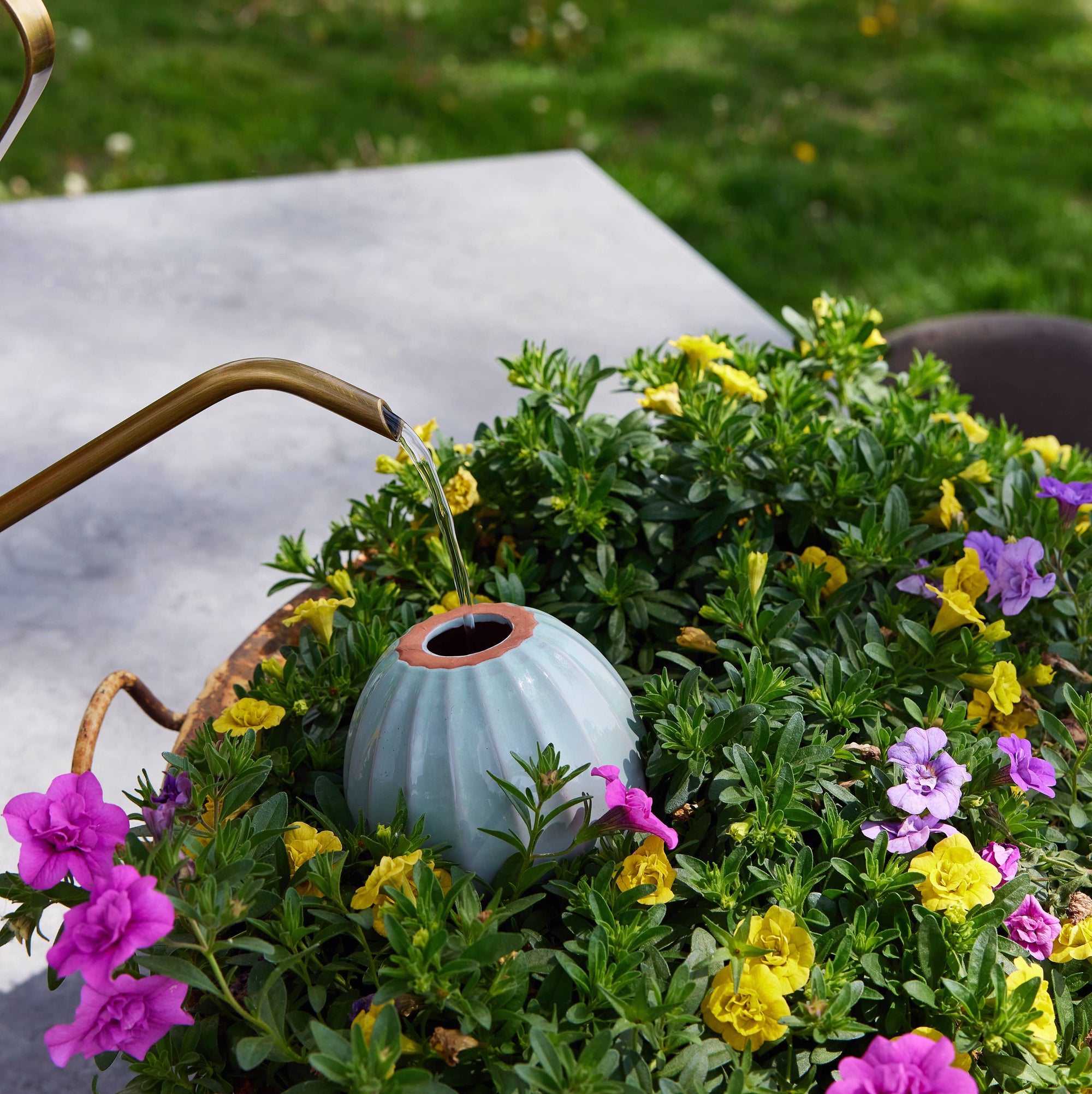 Terracotta Watering Bulb