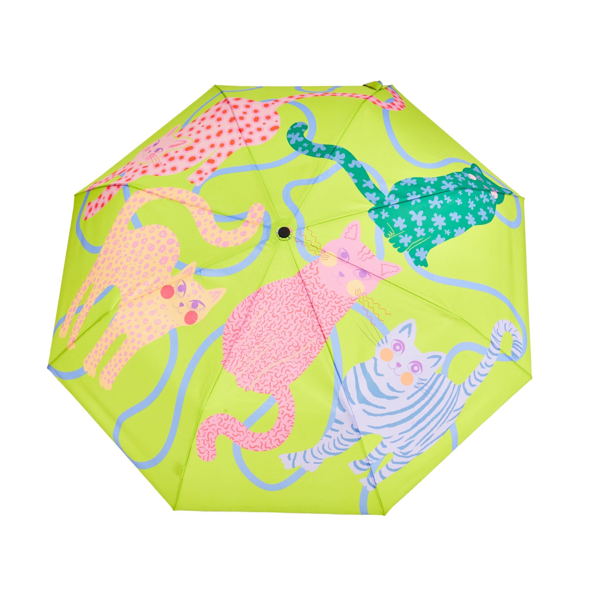Duck Umbrella : Ice Arty Cats