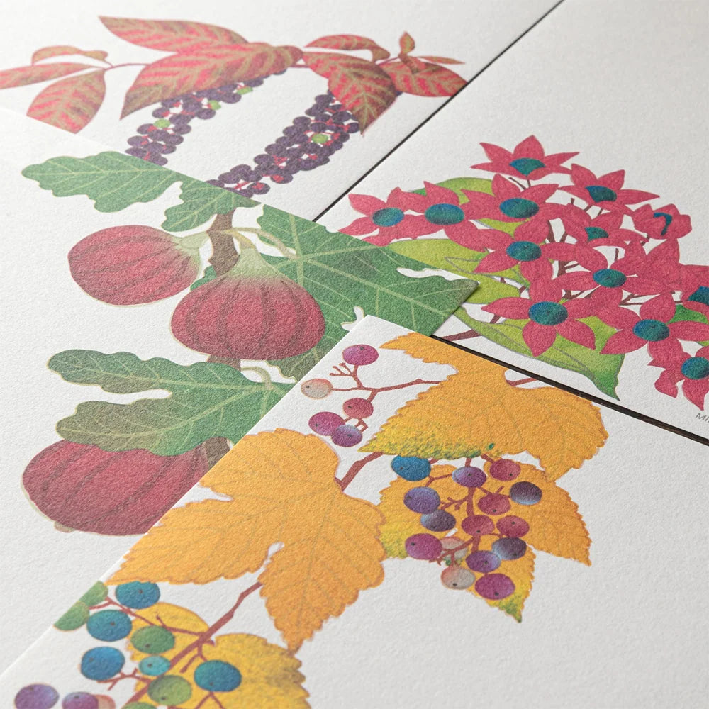 Letter Pad - 033 AUTUMN FRUITS