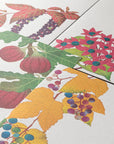 Letter Pad - 033 AUTUMN FRUITS