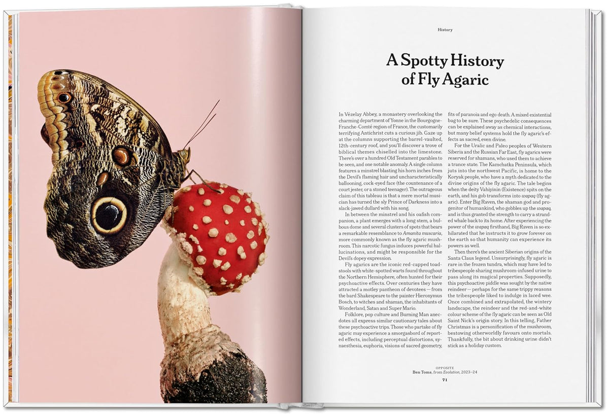 Gourmand's Mushroom. A Collection of Stories &amp; Recipes
