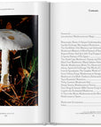 Gourmand's Mushroom. A Collection of Stories & Recipes