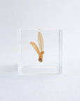 Ant Tree Cube