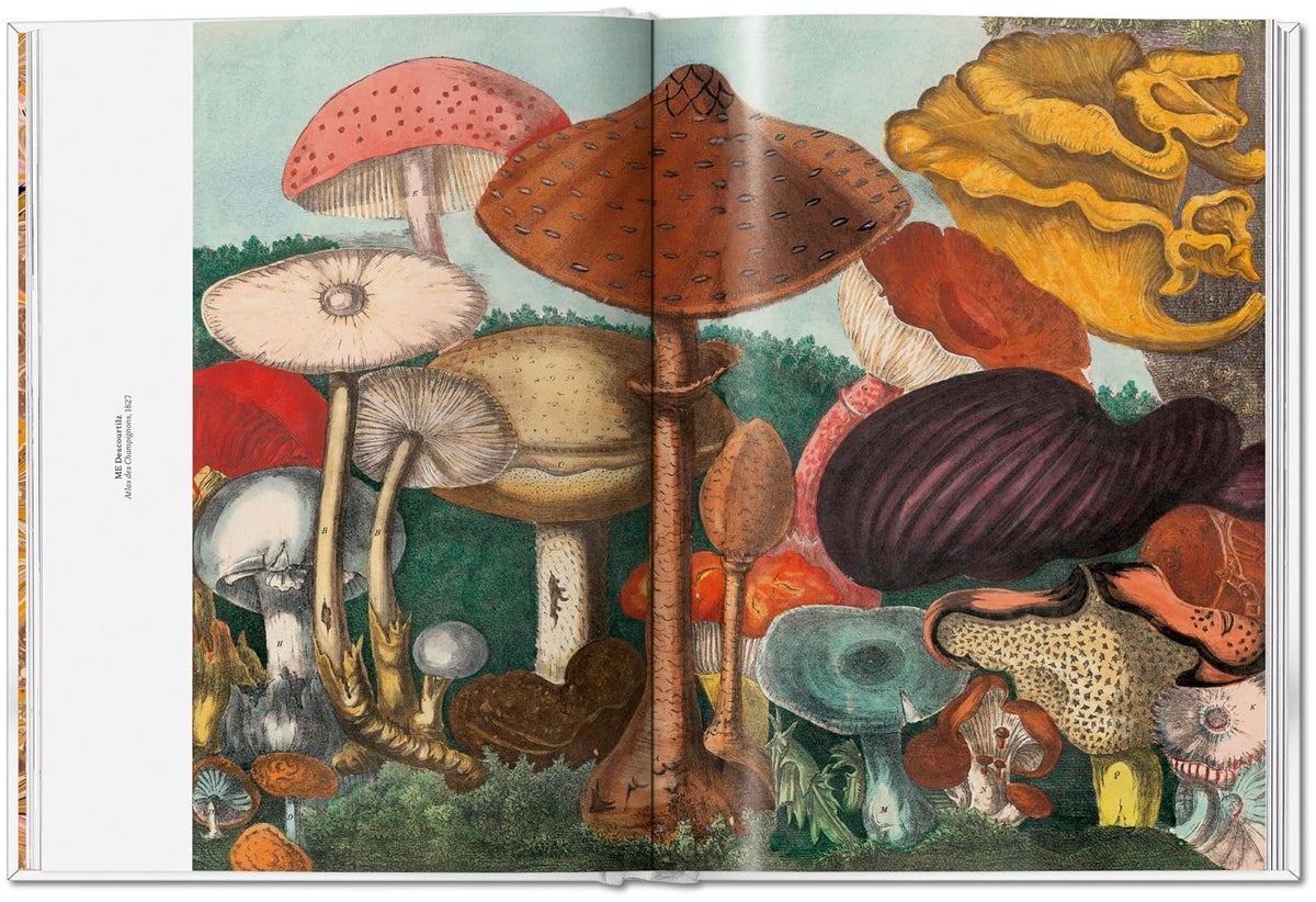 Gourmand's Mushroom. A Collection of Stories &amp; Recipes
