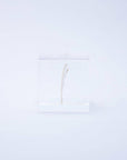 Lunaria Annua Cube