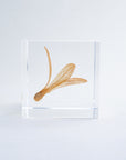 Ant Tree Cube