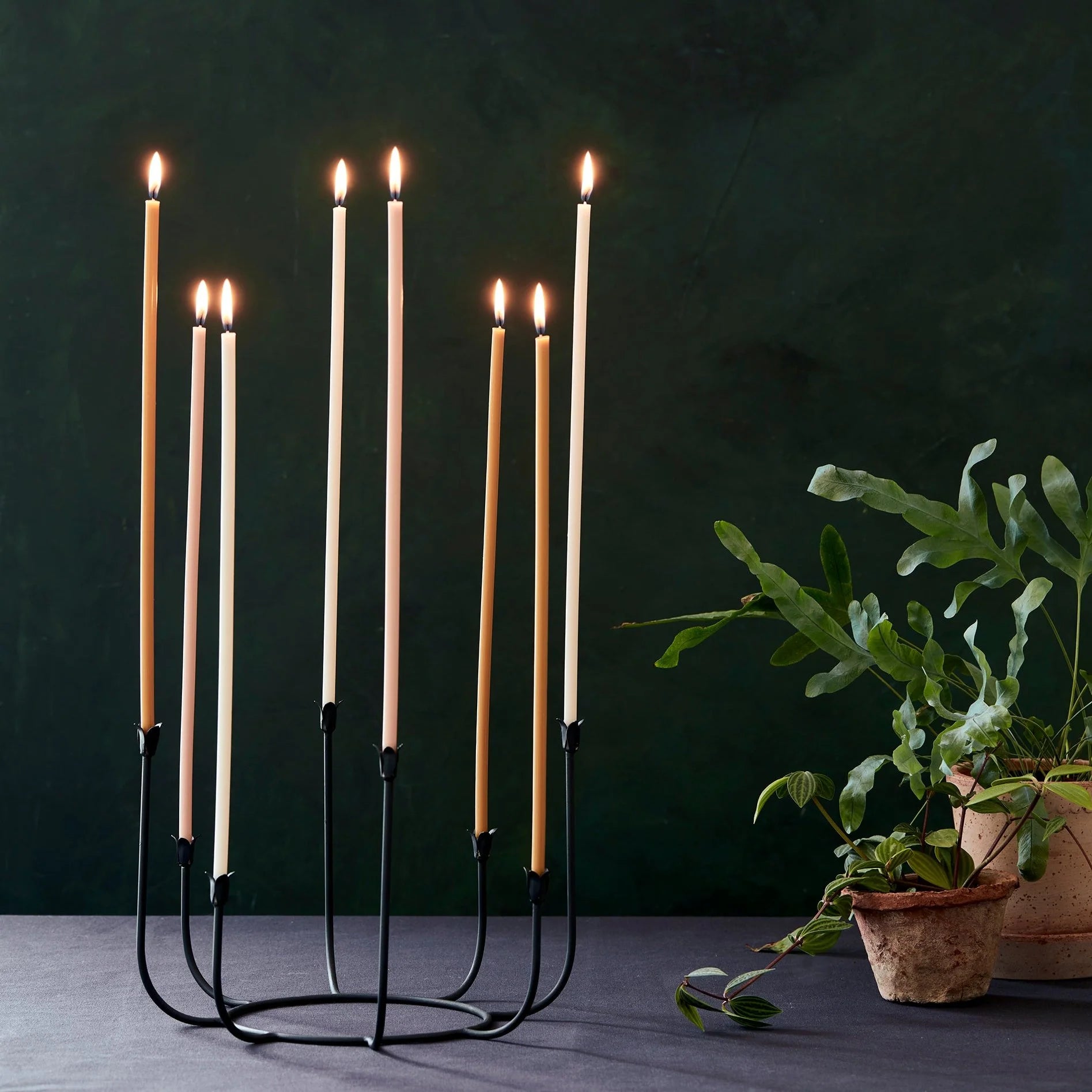 Long Stem Candles - Beeswax - Ochre