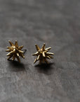E21 Brass Studs