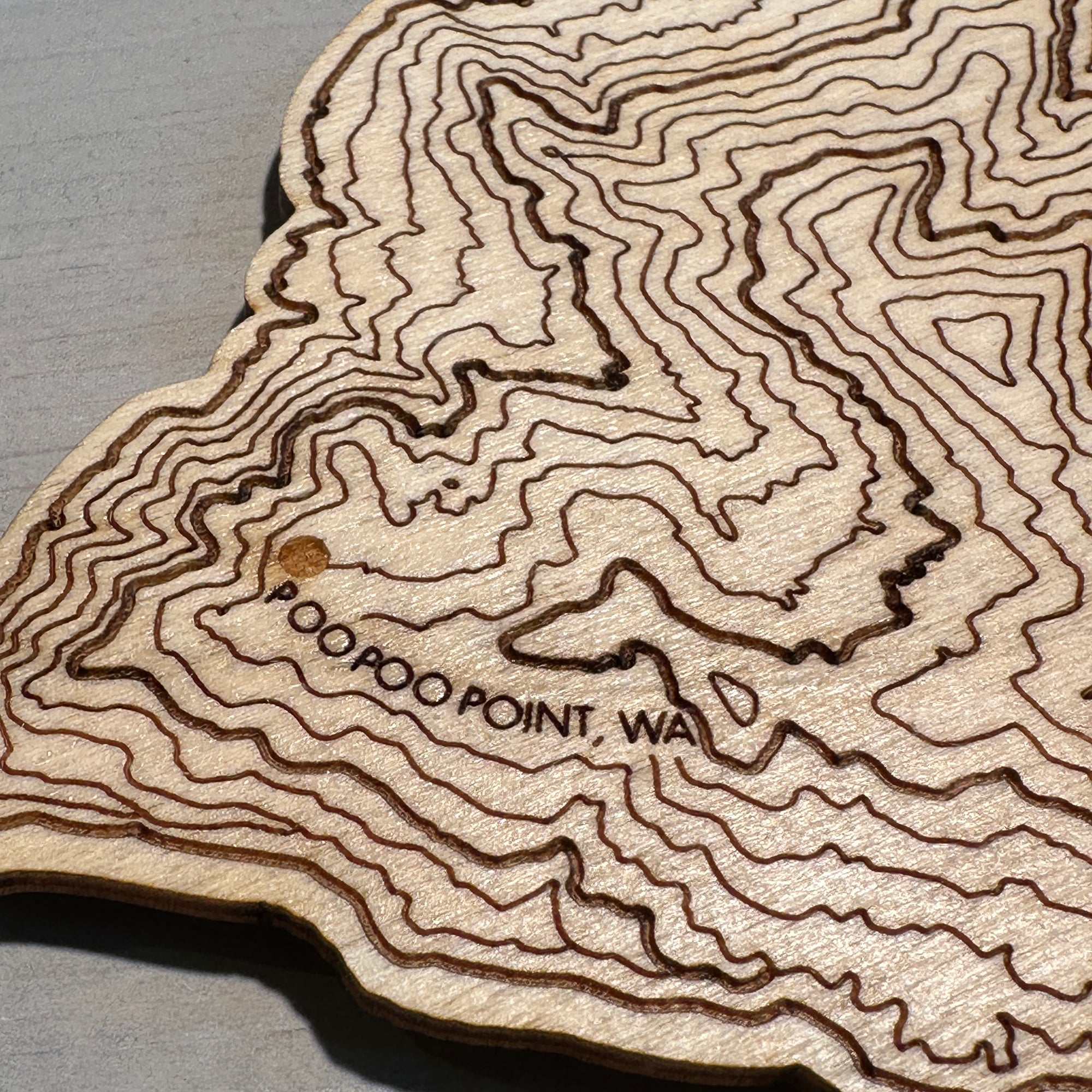 Poo Poo Point Topography - Coaster Singles