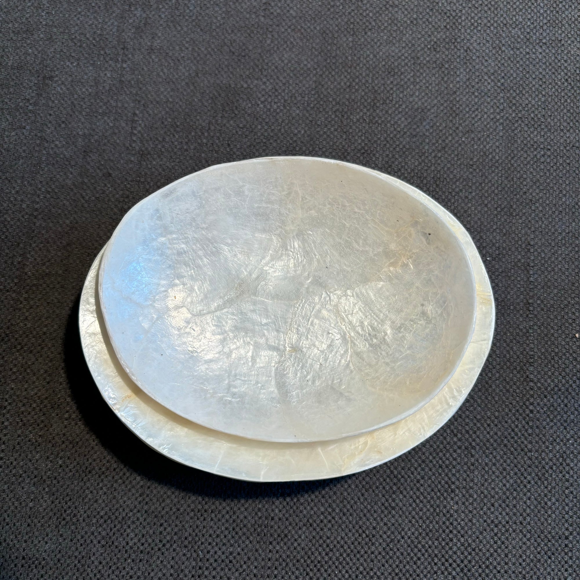 Shell Dish