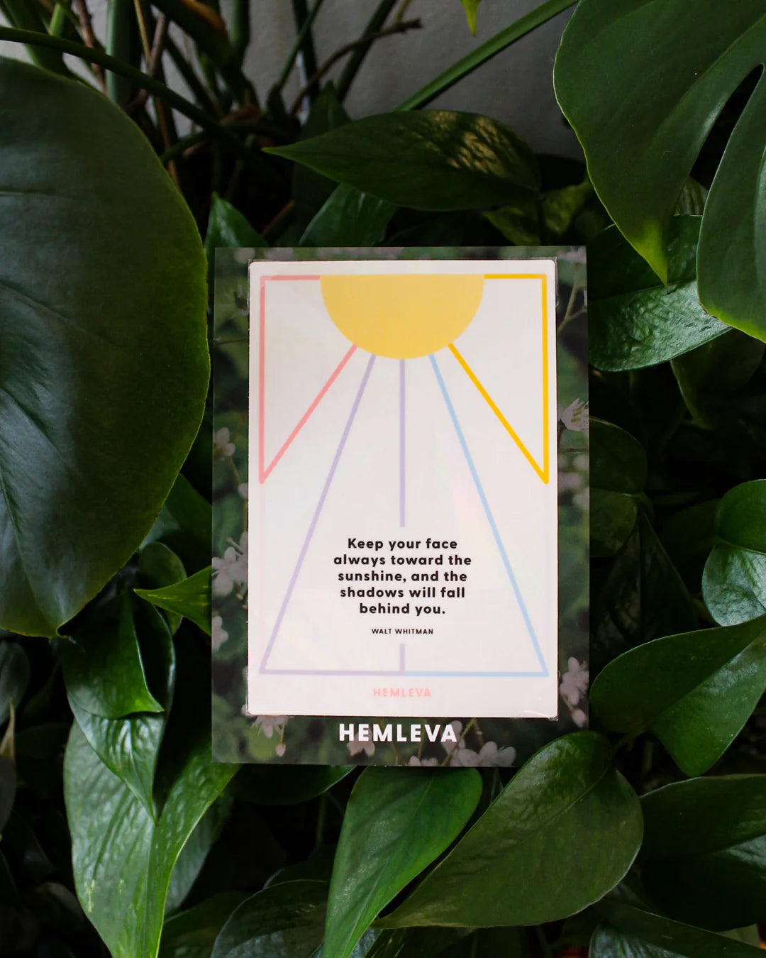 Walt Whitman - Suncatcher Greeting Card