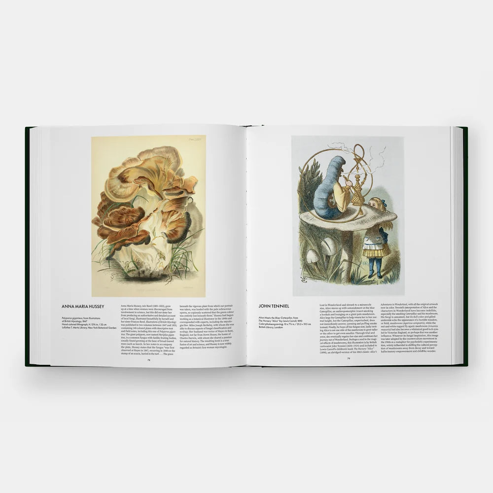 Fungi: The World of Mushrooms