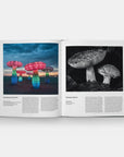 Fungi: The World of Mushrooms
