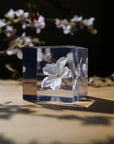 Sakura Cube - Someiyoshinno