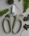 Floral Clippers - Sage
