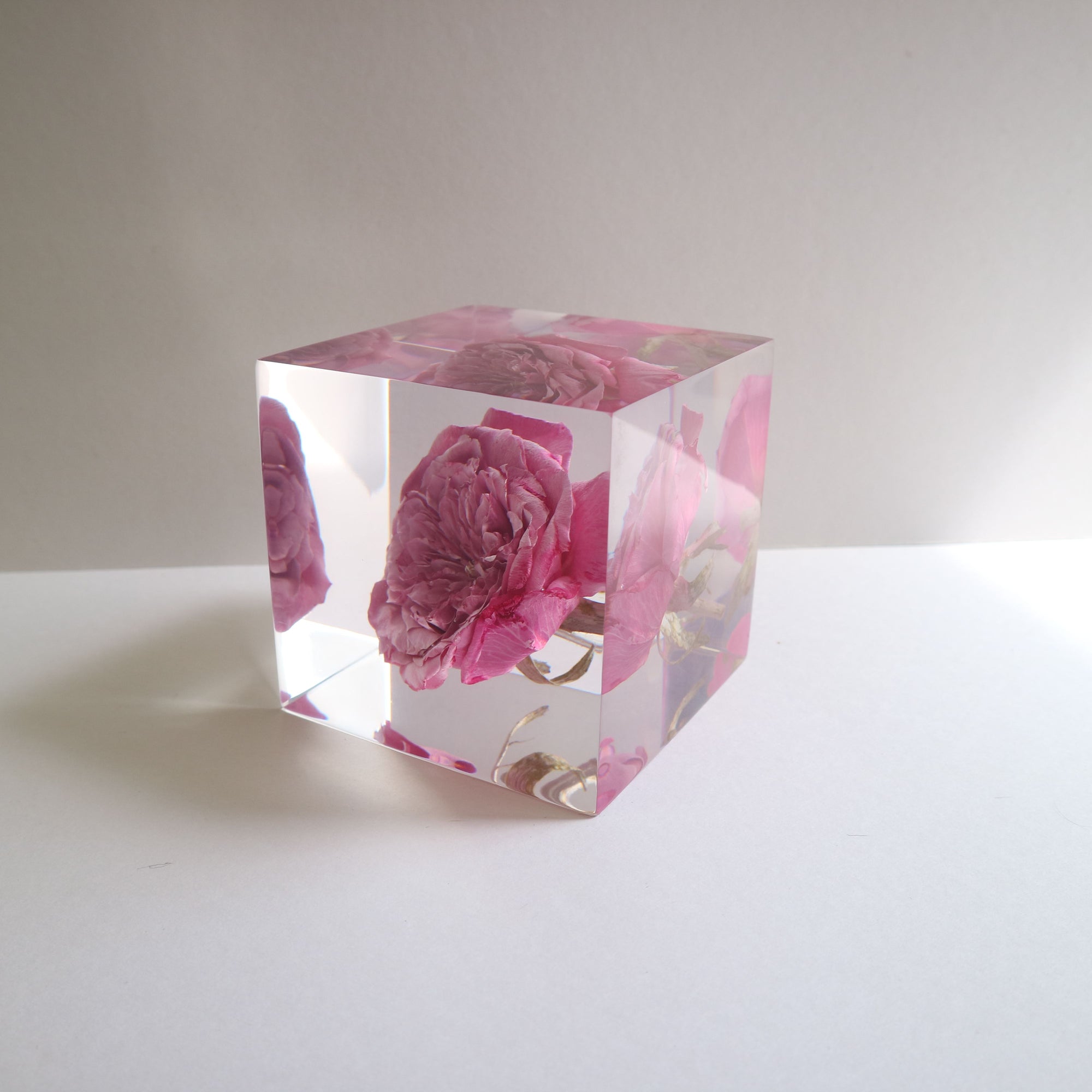 ROSE Miyabi Cube