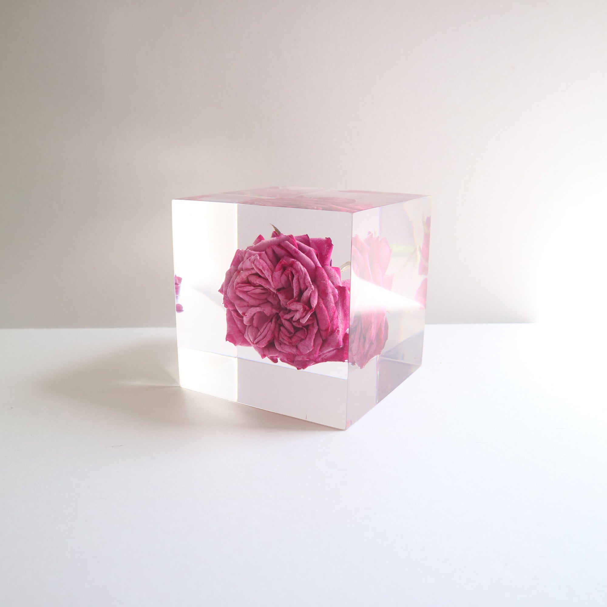 ROSE Isshin Cube