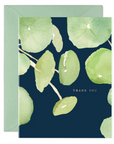 Pancake Plant Thank You - Box Set/6