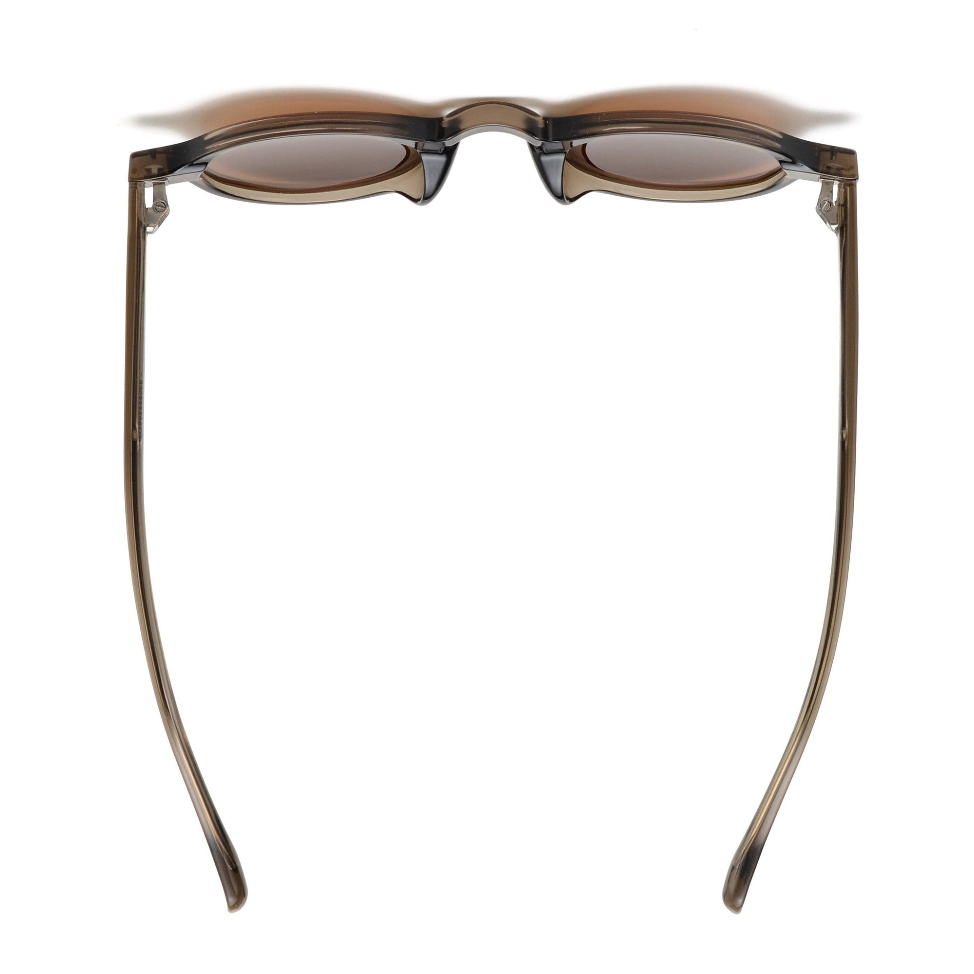 TANNER | Transparent Brown | Brown Lens