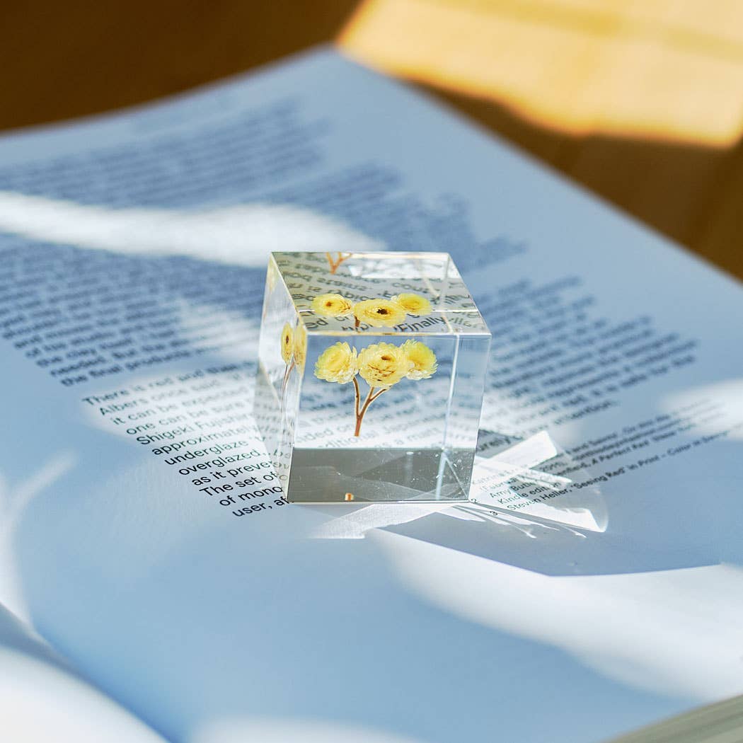 Immortelle Cube