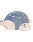Sea Turtle