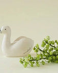 Swan