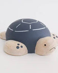 Sea Turtle