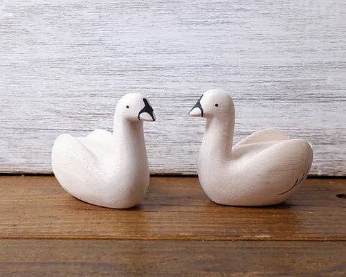 Swan