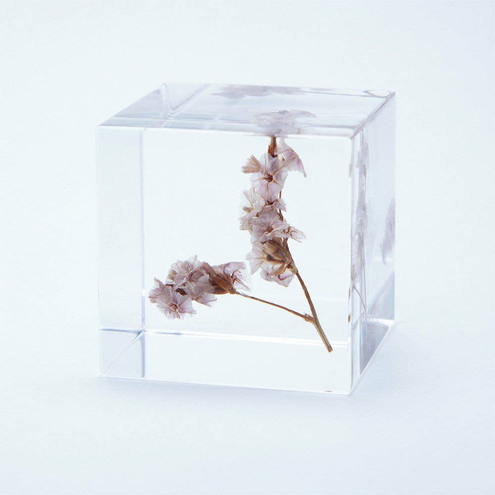 Sea Lavender Cube