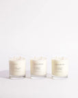 Fern + Moss Candle