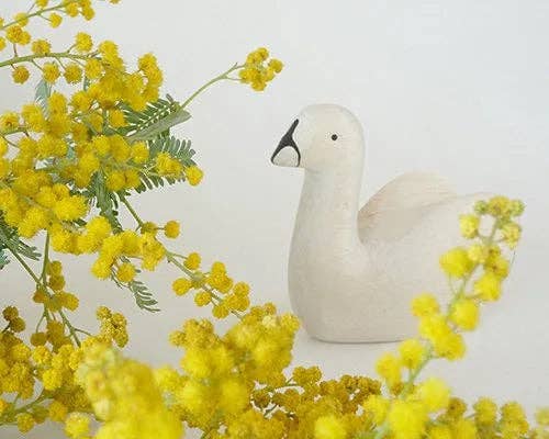 Swan