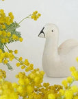 Swan
