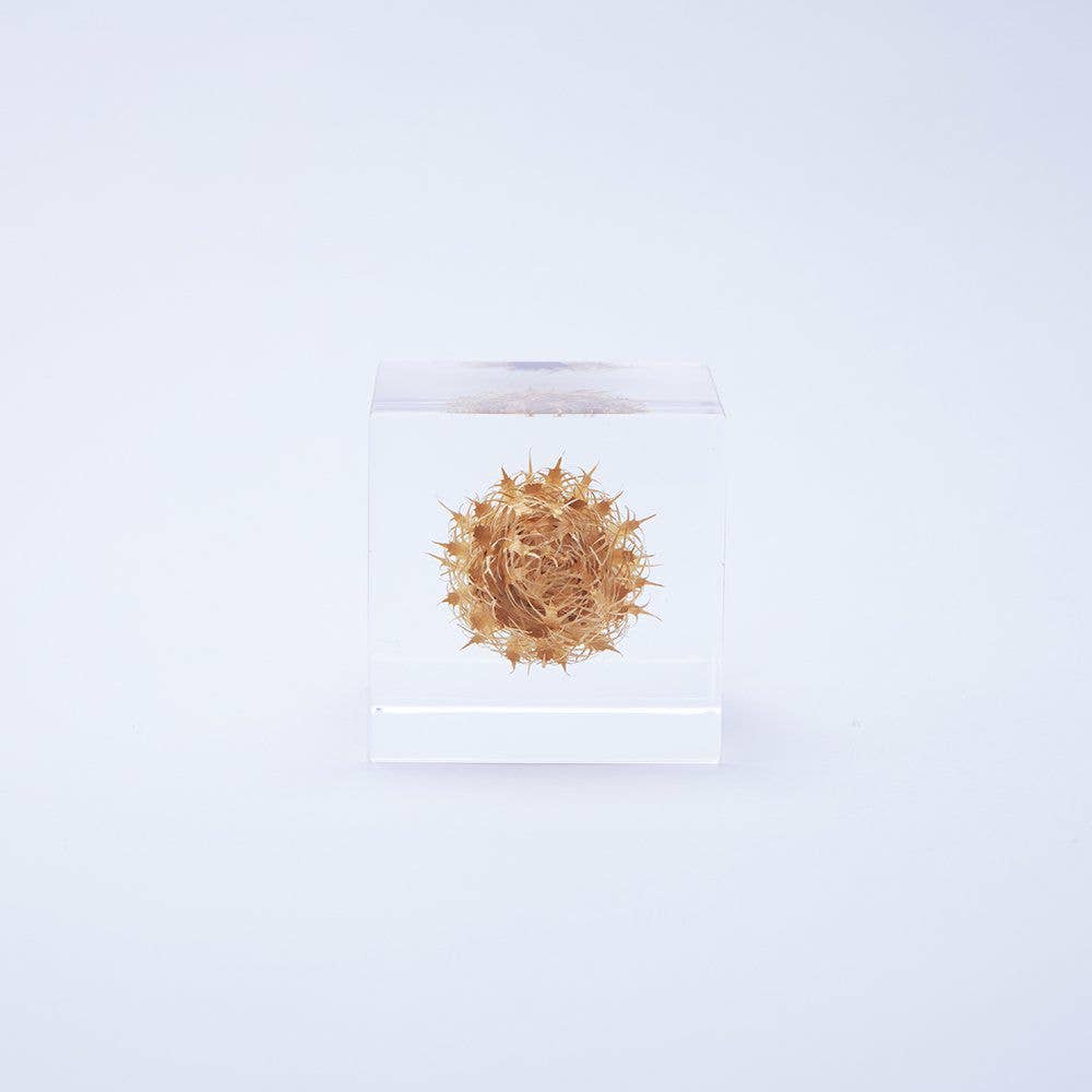 Basket Flower Cube