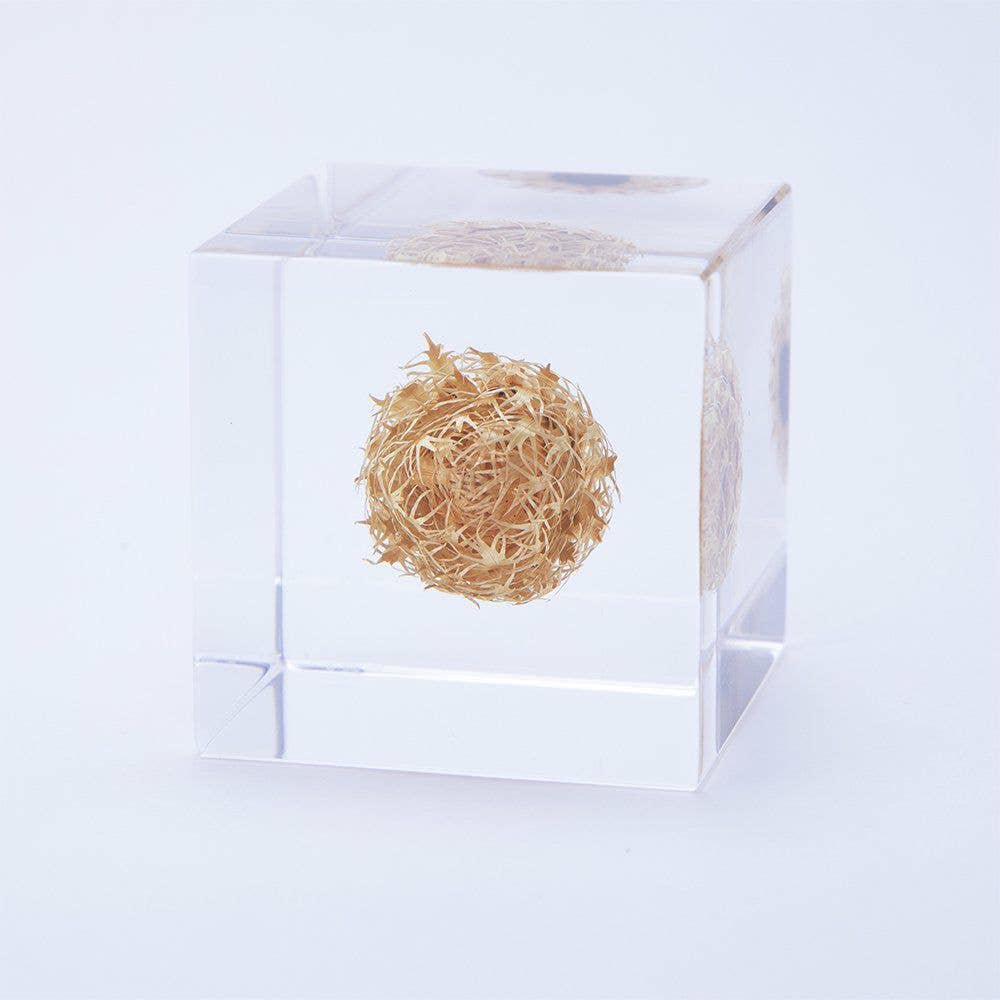 Basket Flower Cube