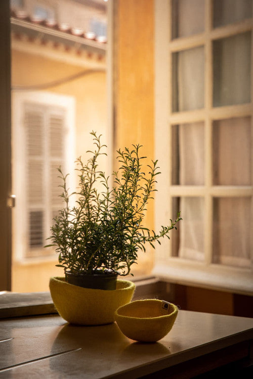 Plain Bowl - Medium