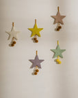 Star Ornament